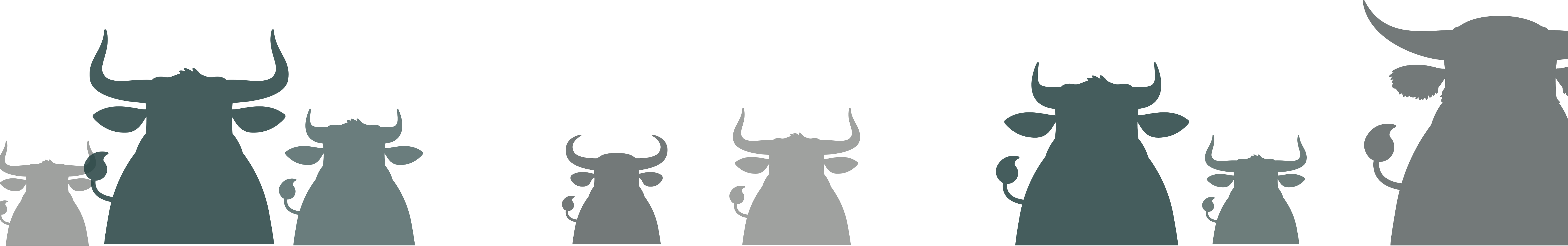 header frame for image