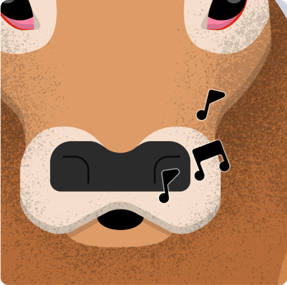 cow image
