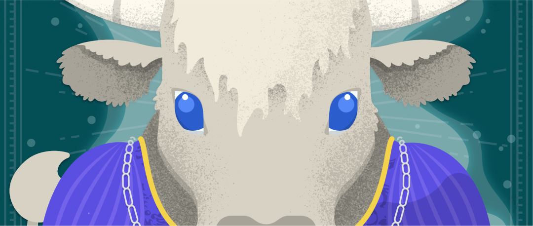 cow image