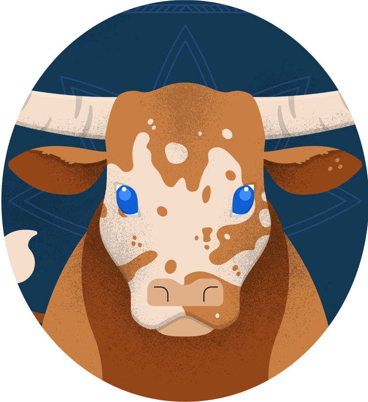 Cow image for Kiran Hellarrow